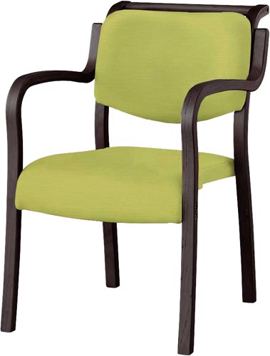 テンダ hg fdグリ ン テンダーhg 木ダーク張地グリーン4脚以上 アイリスチトセ株式会社 Kaunet カウネット Withkaunet ウィズカウネット べんりねっと Benrinet 法人 カタログ 家具 4699 4844 カウネットカタログ申し込みサイト