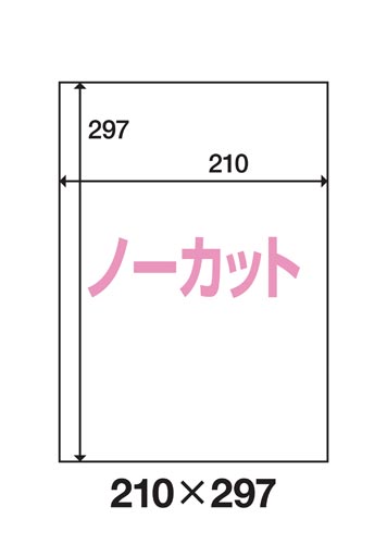 プリンタ用ラベル用紙 ノーカット １００枚】 kaunet カウネット 法人